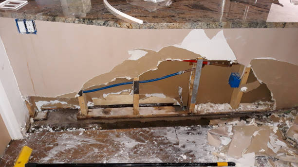 Best Water damage restoration near me  in Mantachie, MS