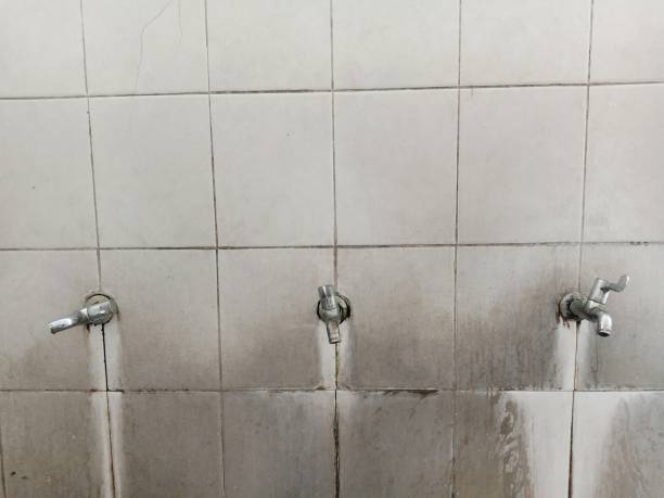 Best 24/7 water damage repair  in Mantachie, MS