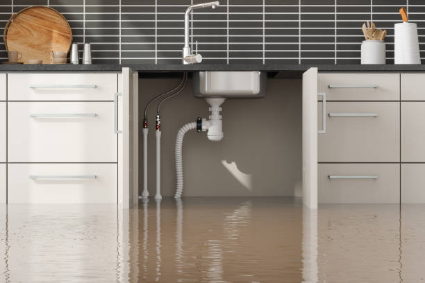 Best Fire Damage Restoration  in Mantachie, MS