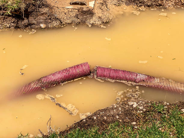 Best Water damage mitigation services  in Mantachie, MS