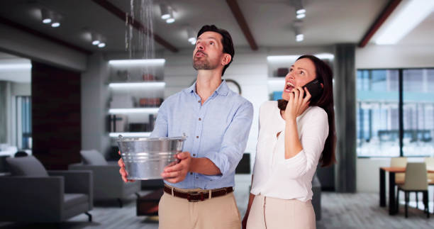 Best Flood damage cleanup  in Mantachie, MS